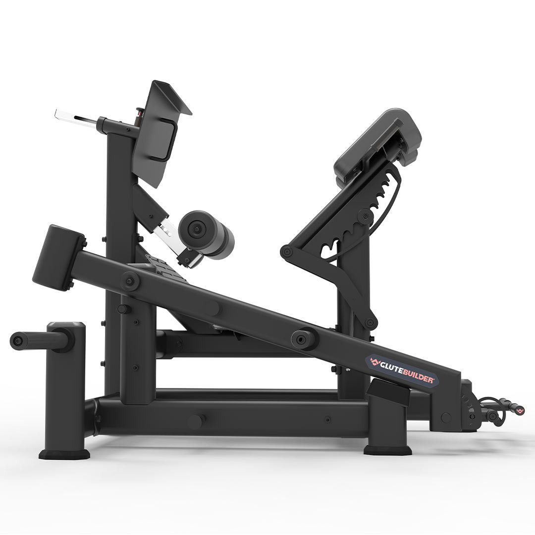 Precor Dual 45 Hip Extension